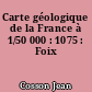 Carte géologique de la France à 1/50 000 : 1075 : Foix