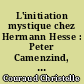 L'initiation mystique chez Hermann Hesse : Peter Camenzind, Demian, Siddhartha