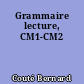 Grammaire lecture, CM1-CM2