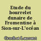 Etude du bourrelet dunaire de Fromentine à Sion-sur-L'océan (nord-Vendée)