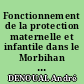 Fonctionnement de la protection maternelle et infantile dans le Morbihan en zone rurale ces cinq dernières années