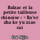 Balzac et la petite tailleuse chinoise : = Ba'er zha ke yu xiao cai feng