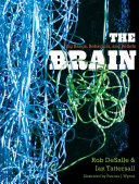 The brain : big bangs, behaviors, and beliefs