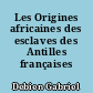 Les Origines africaines des esclaves des Antilles françaises