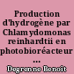 Production d'hydrogène par Chlamydomonas reinhardtii en photobioréacteur : analyse des conditions de culture et mise en place d'un protocole autotrophe