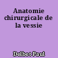 Anatomie chirurgicale de la vessie