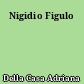 Nigidio Figulo
