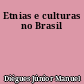 Etnias e culturas no Brasil