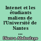 Intenet et les étudiants maliens de l'Université de Nantes : usages et gratifications