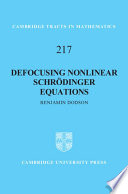 Defocusing nonlinear Schrödinger equations