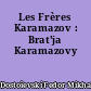 Les Frères Karamazov : Brat'ja Karamazovy