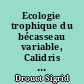 Ecologie trophique du bécasseau variable, Calidris alpina, en Baie de Bourgneuf (France) : relation avec le microphythobentos