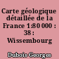 Carte géologique détaillée de la France 1:80 000 : 38 : Wissembourg