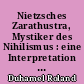 Nietzsches Zarathustra, Mystiker des Nihilismus : eine Interpretation von Friedrich Nietzsches "Also sprach Zarathustra. Ein Buch für Alle und Keinen"
