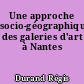 Une approche socio-géographique des galeries d'art à Nantes