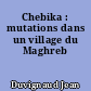 Chebika : mutations dans un village du Maghreb