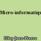 Micro-informatique
