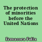 The protection of minorities before the United Nations