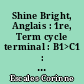 Shine Bright, Anglais : 1re, Term cycle terminal : B1>C1 : guide pédagogique