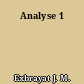 Analyse 1