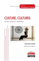 Culture, cultures : le lien social au révélateur