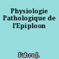 Physiologie Pathologique de l'Epiploon
