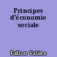 Principes d'économie sociale