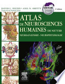 Atlas de neurosciences humaines de Netter
