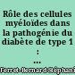 Rôle des cellules myéloïdes dans la pathogénie du diabète de type 1 : mise en évidence d'un déficit de différenciation, de maturation et de fonction des macrophages inhibiteurs chez la souris Non Obese Diabetic