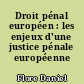 Droit pénal européen : les enjeux d'une justice pénale européenne