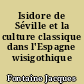 Isidore de Séville et la culture classique dans l'Espagne wisigothique