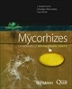 Les mycorhizes : la nouvelle révolution verte