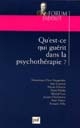 Qu'est-ce qui guérit dans la psychothérapie ? : Forum Diderot, [12 décembre 2000]