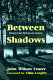 Between shadows : modern Irish writing and culture
