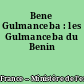 Bene Gulmanceba : les Gulmanceba du Benin