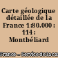 Carte géologique détaillée de la France 1:80.000 : 114 : Montbéliard