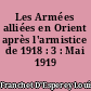 Les Armées alliées en Orient après l'armistice de 1918 : 3 : Mai 1919