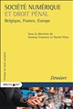 Société numérique et droit pénal : Belgique, France, Europe
