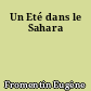 Un Eté dans le Sahara