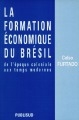 La formation économique du Brésil : de l'époque coloniale aux temps modernes