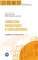 Transitions énergétiques et développement : modalités et études de cas