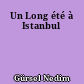 Un Long été à Istanbul