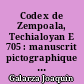 Codex de Zempoala, Techialoyan E 705 : manuscrit pictographique de Zempoala, Hidalgo, Mexique