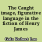 The Caught image, figurative language in the fiction of Henry James