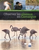 Observer les oiseaux en Camargue