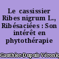 Le  cassissier Ribes nigrum L., Ribésaciées : Son intérêt en phytothérapie