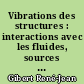Vibrations des structures : interactions avec les fluides, sources d'excitation aléatoires
