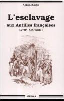 L'esclavage aux Antilles françaises : XVIIe-XIXe siècle : contribution au problème de l'esclavage