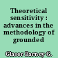 Theoretical sensitivity : advances in the methodology of grounded theory