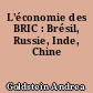 L'économie des BRIC : Brésil, Russie, Inde, Chine